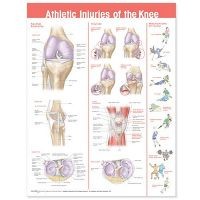 Anatomical Chart #0781786754