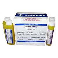 Diazyme Laboratories #DZ132A-KH1 Diazyme Laboratories #DZ132A-KH1