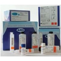 AMS Diagnostic #20010