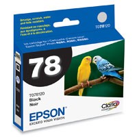 Epson America #936339